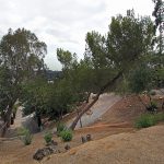 5341 Hilltop Road