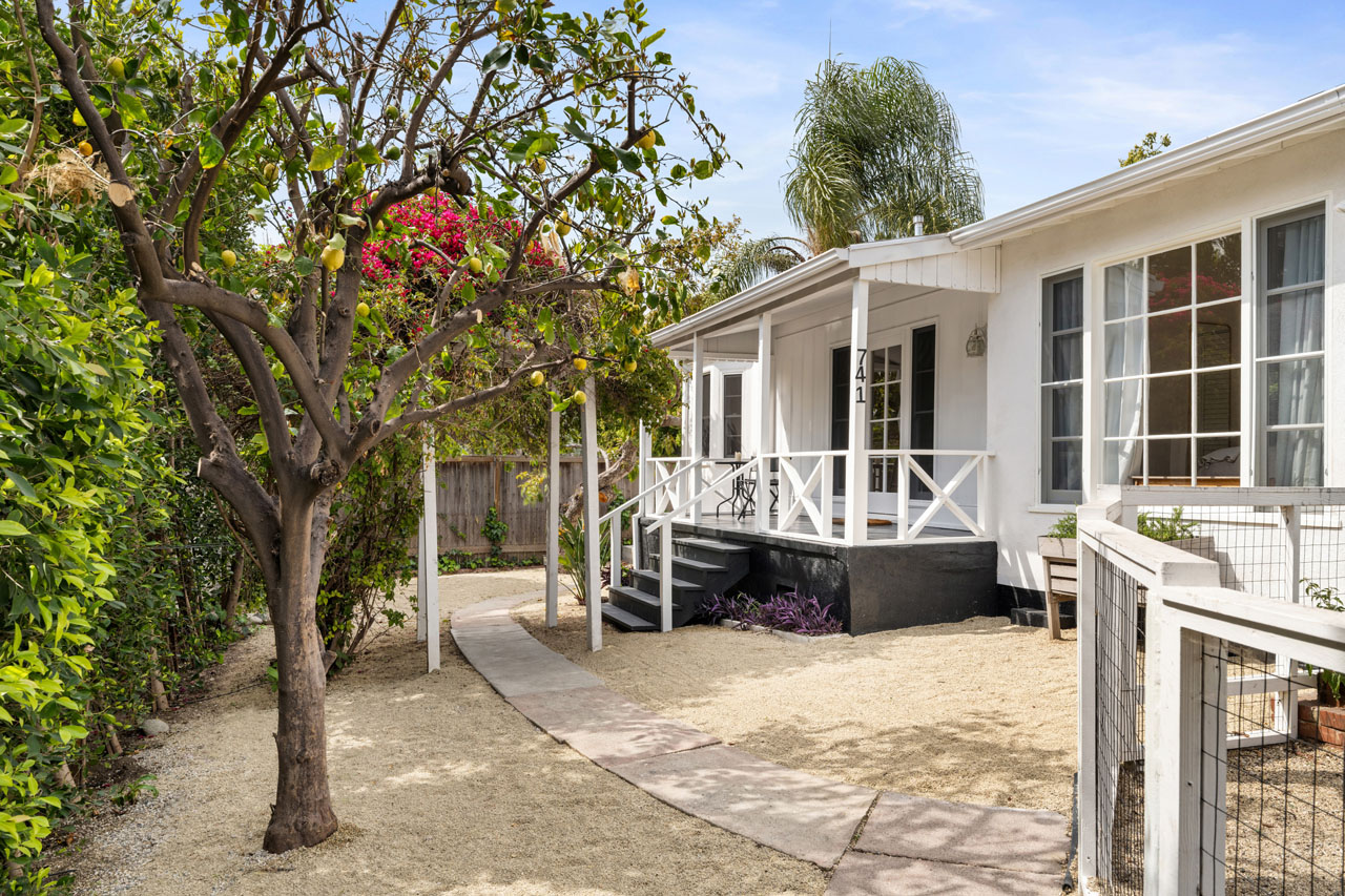 exterior of a white silver lake bungalow with lemon trees and bougainvillea and drought tolerant yard