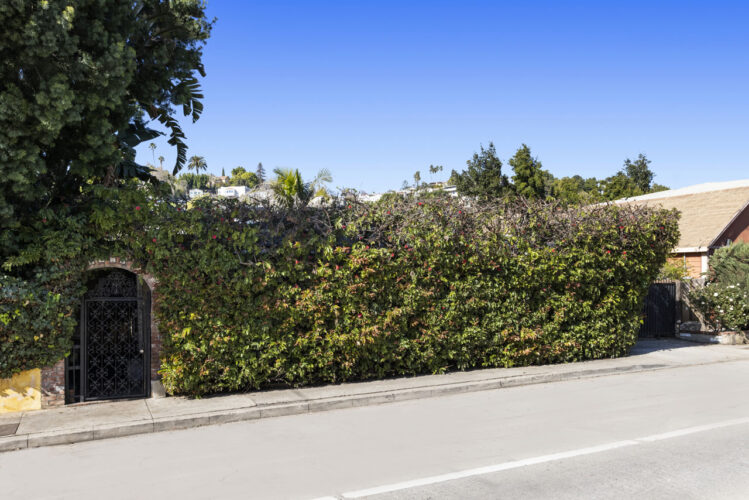 street view of a home exterior of a home covered in bougainvillea vines with a black iron gate entrance