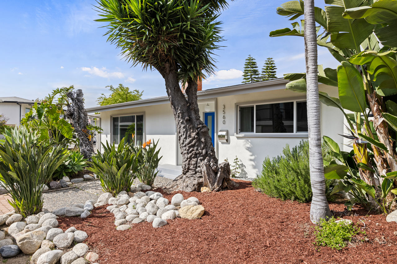 exterior of a mid century modern style home with palm trees