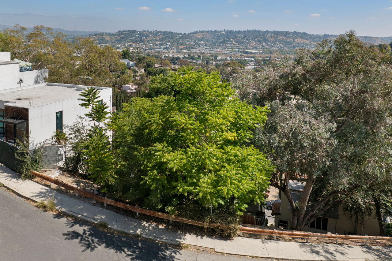 2321 Lake View Ave Silver Lake Home for Sale Tracy Do Real Estate