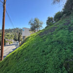 side of a green hill with views