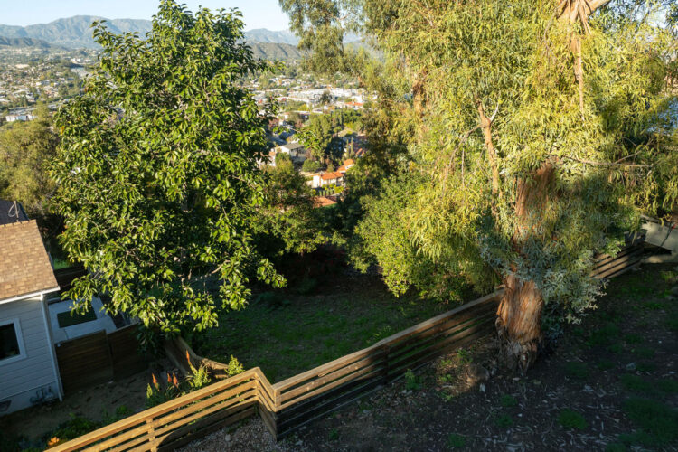 a green land lot with trees