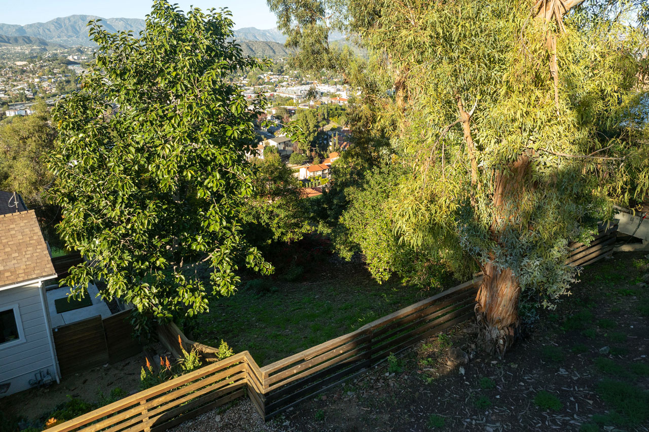 a green land lot with trees