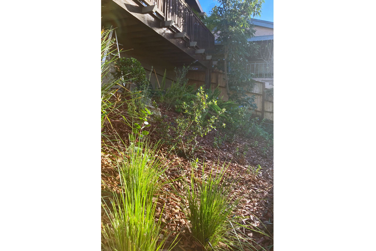 4026 Berenice Dr TIC tenants-in-common craftsman home for sale Montecito Heights Tracy Do Real Estate